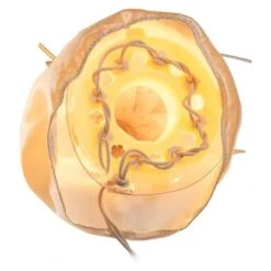 Kurt S. Adler Christmas Tree Topper (00082) 15 Kurt S. Adler Christmas Tree Topper (00082) -Roman Shop 000826md