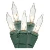 LiteSource Christmas Light String Set (02496) -Roman Shop 02496lg