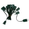 Vickerman Christmas Light String Set (02514) -Roman Shop 02514lg