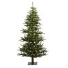 Vickerman Pre-Lit Artificial Christmas Tree (03484) -Roman Shop 03478lg 1
