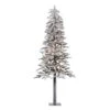 Vickerman Pre-Lit Artificial Christmas Tree (03773) -Roman Shop 03773lg