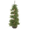 Vickerman Pre-Lit Artificial Christmas Tree (09860) -Roman Shop 09860lg