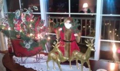 Vickerman Christmas Giant Ornament (2 Pack) (29018) -Roman Shop 103672md