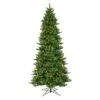 Vickerman Pre-Lit Artificial Christmas Tree (10904) -Roman Shop 10904lg