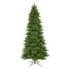 Vickerman Pre-Lit Artificial Christmas Tree (Includes On / Off Switch Cord) (10910) 1 Vickerman Pre-Lit Artificial Christmas Tree (Includes On / Off Switch Cord) (10910) -Roman Shop 10910lg