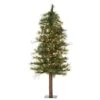 Vickerman Pre-Lit Artificial Christmas Tree (11710) -Roman Shop 11710lg