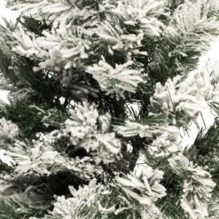 Vickerman Artificial Unlit Christmas Swag (117361) -Roman Shop 1173614md