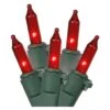 Vickerman Christmas Light String Set (01024) 1 Vickerman Christmas Light String Set (01024) -Roman Shop 12004lg 1