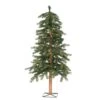 Vickerman Pre-Lit Artificial Christmas Tree (13190) -Roman Shop 13190lg
