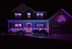 Vickerman Christmas Light String Set (31679) -Roman Shop 148474md