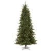 Vickerman Pre-Lit Artificial Christmas Tree (Includes On / Off Switch Cord) (15866) -Roman Shop 15866lg