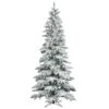 Vickerman Pre-Lit Artificial Christmas Tree (16116) -Roman Shop 16116lg