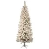 Vickerman Pre-Lit Artificial Christmas Tree (17909) -Roman Shop 17909lg