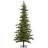Vickerman Pre-Lit Artificial Christmas Tree (18189) -Roman Shop 18189alg