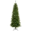 Vickerman Pre-Lit Artificial Christmas Tree (18303) -Roman Shop 18303alg