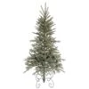 Vickerman Pre-Lit Artificial Christmas Tree (19184) -Roman Shop 19184lg