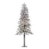 Vickerman Pre-Lit Artificial Christmas Tree (20995) -Roman Shop 20995lg
