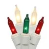 Vickerman Christmas Light String Set (21069) -Roman Shop 21069lg