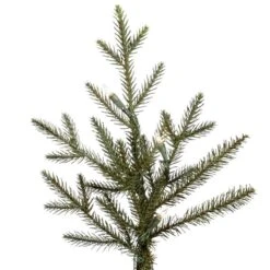 Vickerman Pre-Lit Artificial Christmas Tree (21564) -Roman Shop 21564Miscmd