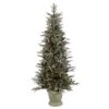 Vickerman Pre-Lit Artificial Christmas Tree (21669)