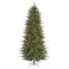 Vickerman Pre-Lit Artificial Christmas Tree (includes Step On/Off Foot Switch) (21699) -Roman Shop 21699lg
