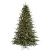 Vickerman Pre-Lit Artificial Christmas Tree (21719) -Roman Shop 21719lg