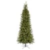 Vickerman Pre-Lit Artificial Christmas Tree (includes Step On/Off Foot Switch) (21780) -Roman Shop 21780lg