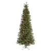 Vickerman Pre-Lit Artificial Christmas Tree (includes Step On/Off Foot Switch) (21880) -Roman Shop 21880lg