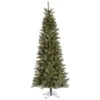 Vickerman Pre-Lit Artificial Christmas Tree (includes Step On/Off Foot Switch) (21889) -Roman Shop 21889lg