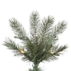 Vickerman Pre-Lit Artificial Christmas Tree (includes Step On/Off Foot Switch) (21904) 7 Vickerman Pre-Lit Artificial Christmas Tree (includes Step On/Off Foot Switch) (21904) -Roman Shop 21904Miscmd