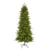 Vickerman Pre-Lit Artificial Christmas Tree (22617) -Roman Shop 22617lg