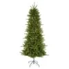 Vickerman Pre-Lit Artificial Christmas Tree (22619) -Roman Shop 22619lg