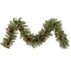 Vickerman Artificial Unlit Christmas Garland (23343) -Roman Shop 23343lg