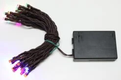 Vickerman Christmas Light String Set With Timer (24636) -Roman Shop 24636Stringbmd