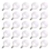 Vickerman LED Light Bulb (25 Pack) (25816) 2 Vickerman LED Light Bulb (25 Pack) (25816) -Roman Shop 25816lg