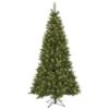 Vickerman Pre-Lit Artificial Christmas Tree (Includes On / Off Foot Switch) (26920) -Roman Shop 26920lg