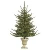 Vickerman Pre-Lit Artificial Christmas Tree (27103) -Roman Shop 27103lg