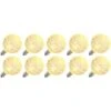 Vickerman LED Light Bulb (10 Pack) (300749) 1 Vickerman LED Light Bulb (10 Pack) (300749) -Roman Shop 300749alg
