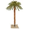 Vickerman Lighted Artificial Palm Tree (30221) -Roman Shop 30221lg