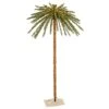 Vickerman Lighted Artificial Palm Tree (30223) -Roman Shop 30223lg