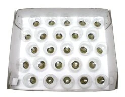 Sival Christmas Light String Set (30251) -Roman Shop 30251Stringmd