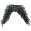 Vickerman Pre-Lit Artificial Christmas Garland (30976) -Roman Shop 30976lg