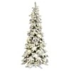Vickerman Pre-Lit Artificial Christmas Tree (Includes On / Off Foot Switch) (32851) -Roman Shop 32851alg