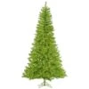 Vickerman Prelit Christmas Tree (330326) -Roman Shop 330234lg 1