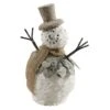 Vickerman Christmas Tree Ornament (35660) 2 Vickerman Christmas Tree Ornament (35660) -Roman Shop 35660lg