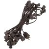 Vickerman Christmas Light String Set (36037) -Roman Shop 36037lg