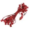Vickerman Christmas Light String Set (36038) 1 Vickerman Christmas Light String Set (36038) -Roman Shop 36038lg