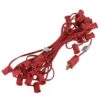 Vickerman Christmas Light String Set (360712) -Roman Shop 360712lg