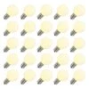 Vickerman Replacement LED Light Bulb (25 Pack) (361986)