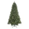 Vickerman Pre-Lit Artificial Christmas Tree (371244) -Roman Shop 371244lg
